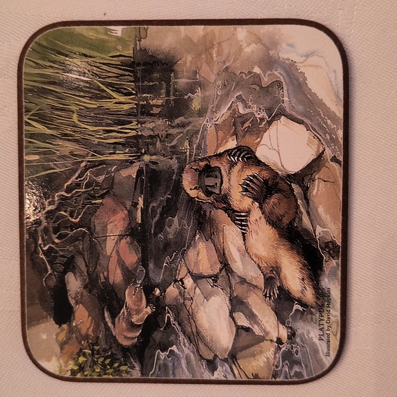 Australia Animal Coaster Set - Picture 4 of 16